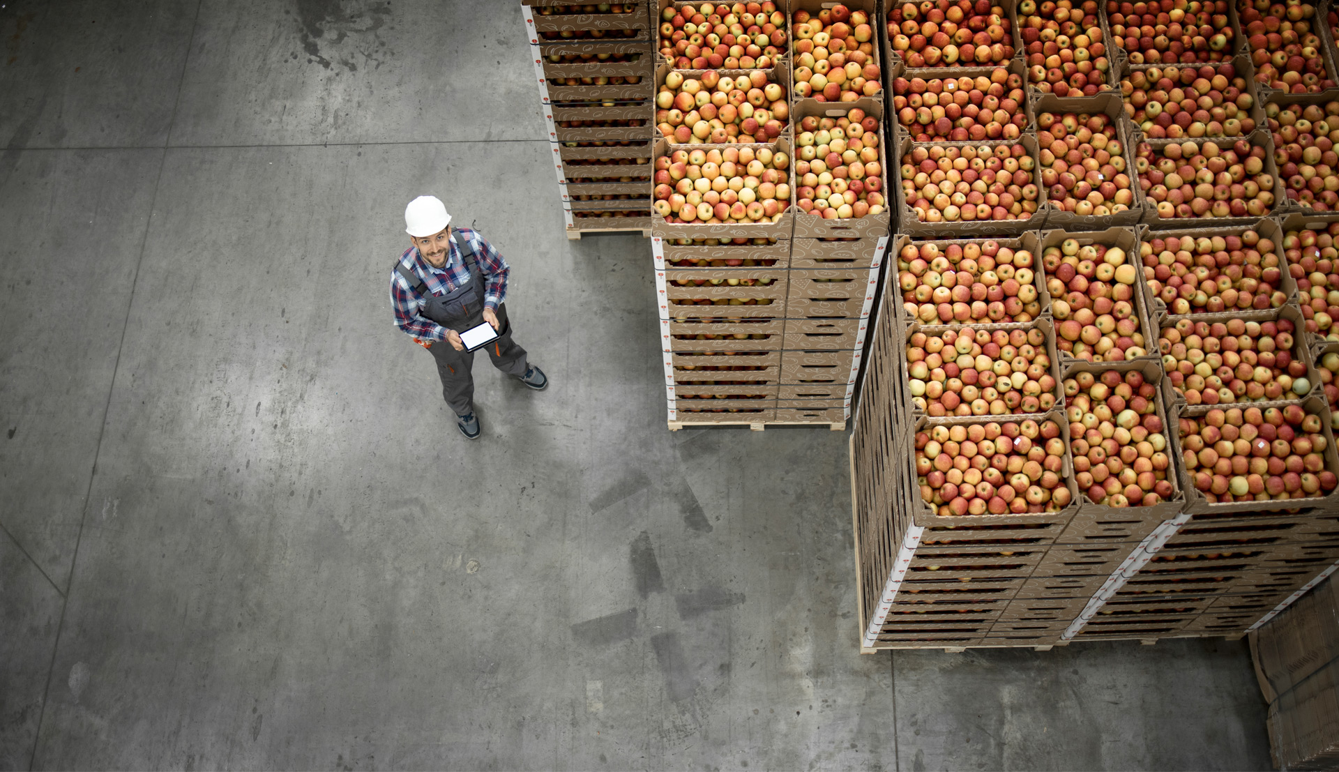 Transport Fruits Et L gumes Primever transport-fruits-et-l-gumes-primever